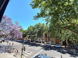 Oficina en alquiler en Museo en Sevilla