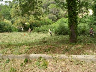 Servicios de jardinería, desbroce y vallado
