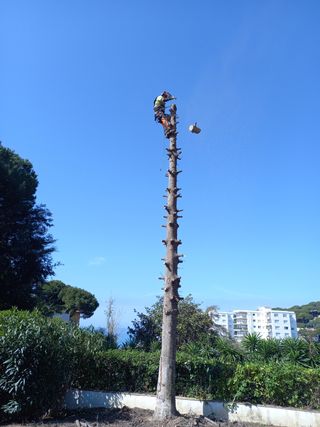 Servicios de jardinería, desbroce y vallado