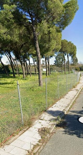 Terreno en venta en Almensilla