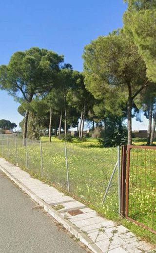 Terreno en venta en Almensilla