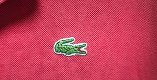 Polo Lacoste Rojo