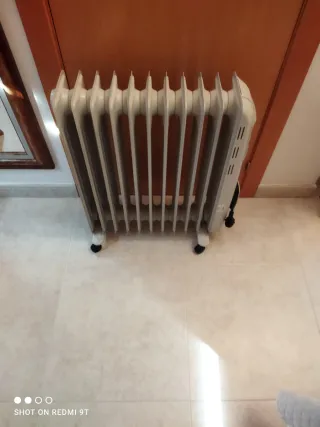 Radiador eléctrico Bluesky