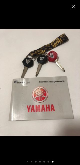 Yamaha FZ6N 2009 -Limitada A2