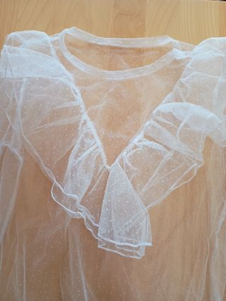 Blusa transparente con volantes