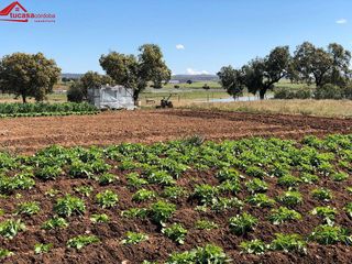 Casa rural en venta en Peñarroya-Pueblonuevo