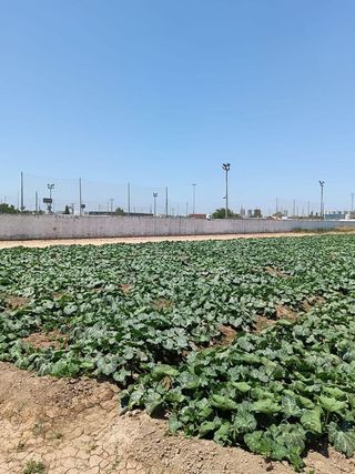 Casa en venta en El Castellar-L´Oliveral en Valencia