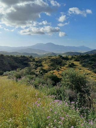 Terreno en venta en Coín