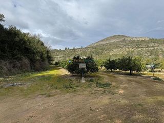 Terreno en venta en Benigánim