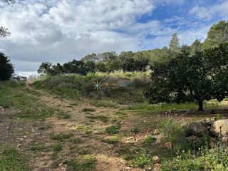 Terreno en venta en Benigánim