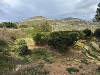 Terreno en venta en Benigánim