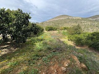 Terreno en venta en Benigánim