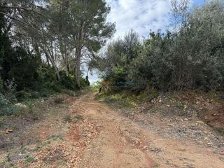 Terreno en venta en Benigánim