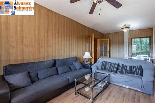 Chalet en venta en Gójar