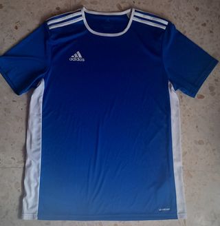 Camiseta Adidas Talla L Azul y Blanca