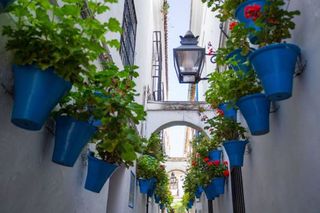Casa adosada en venta en Baena