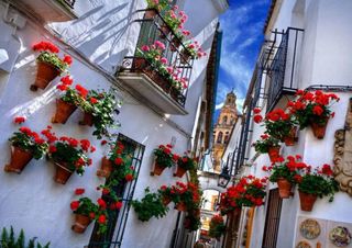 Casa adosada en venta en Baena