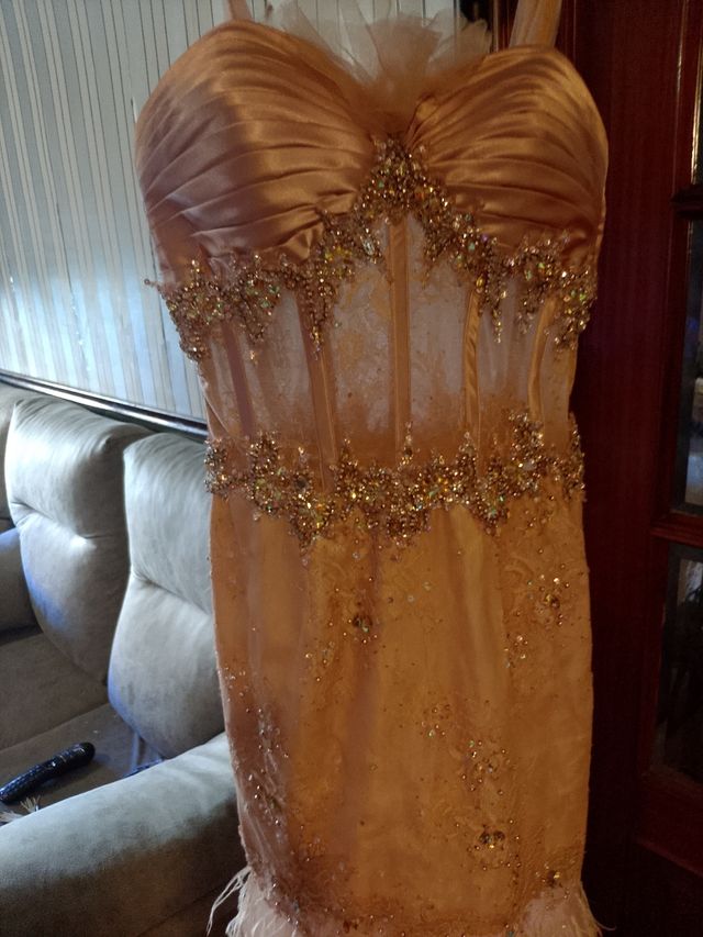 Vestido fiesta pedrería y plumas oca color rosita