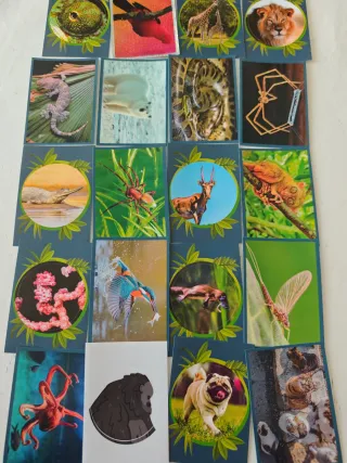 Cromos Mundo Animal Los Records Panini