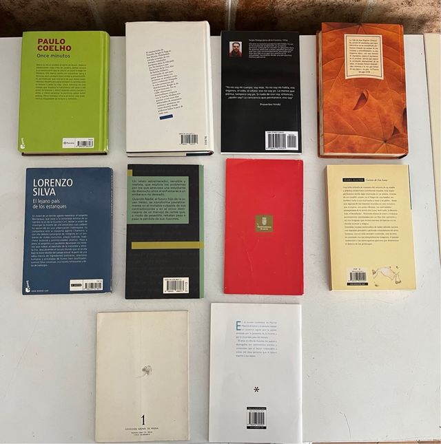 Lote de libros variados 