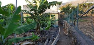Terreno en venta en Santa Cruz de la Palma