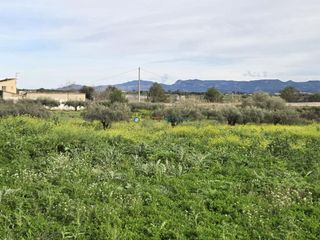 Chalet en venta en Benigánim