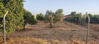 Chalet en venta en La Hacienda - Nueva Andalucía en Dos Hermanas