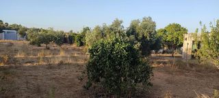 Chalet en venta en La Hacienda - Nueva Andalucía en Dos Hermanas