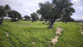 Terreno en venta en Arco Norte - Avda. España en Dos Hermanas