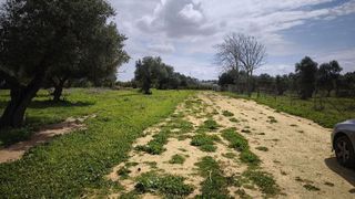 Terreno en venta en Arco Norte - Avda. España en Dos Hermanas