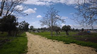 Terreno en venta en Arco Norte - Avda. España en Dos Hermanas