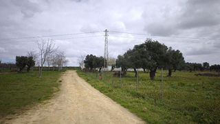 Terreno en venta en Arco Norte - Avda. España en Dos Hermanas
