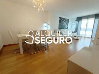 Piso en alquiler en Alcalde Felipe Mallol en San Vicente del Raspeig/Sant Vicent del Raspeig
