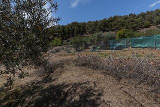 Solar en venta en Crta. De la Sierra en Granada