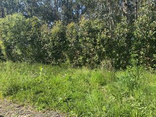 Terreno en venta en Gorliz