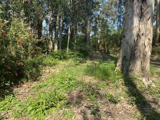 Terreno en venta en Gorliz