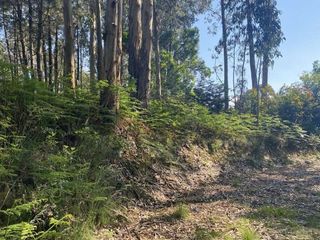 Terreno en venta en Gorliz