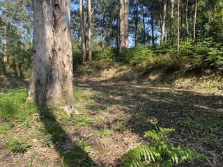 Terreno en venta en Gorliz