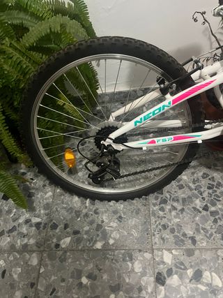 Bicicleta Montaña Infantil Neon 24