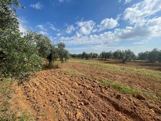 Terreno en venta en Almensilla