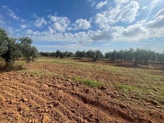 Terreno en venta en Almensilla