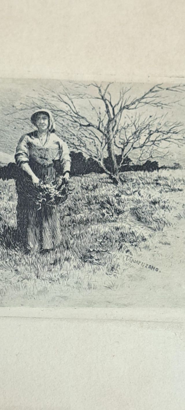 Incisione di T. Campuzano e Aguirre - «Contadini»