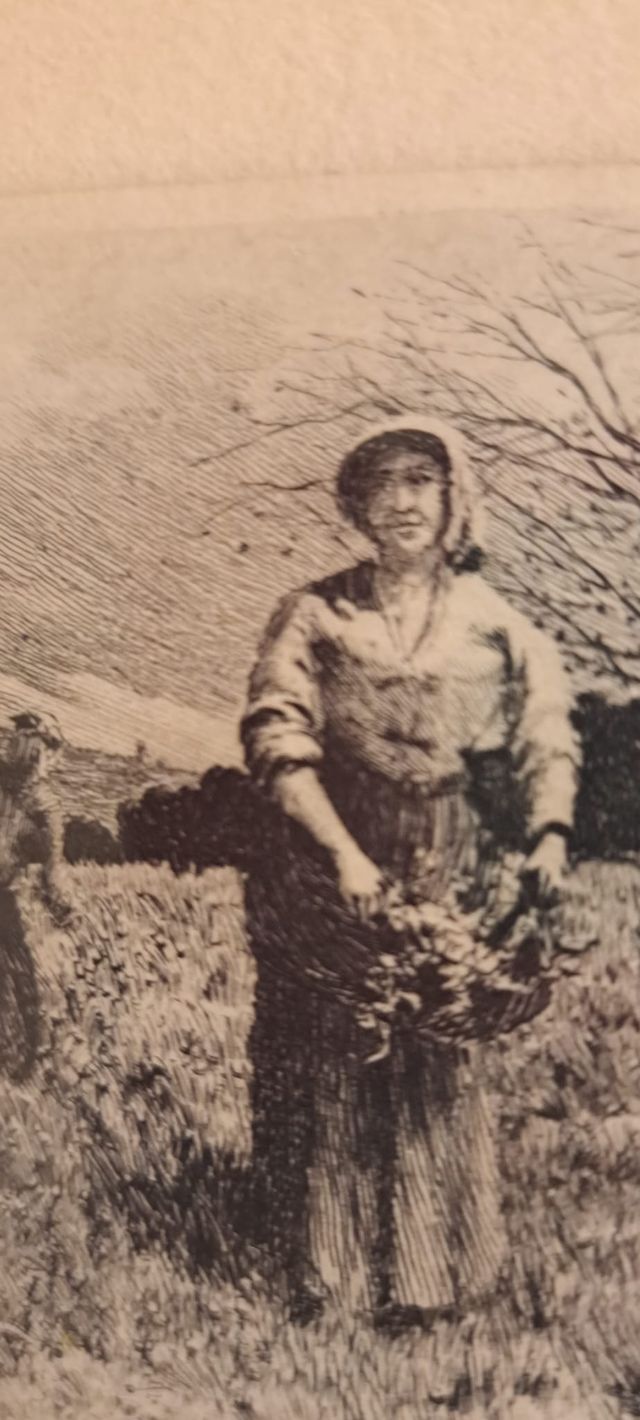 Incisione di T. Campuzano e Aguirre - «Contadini»