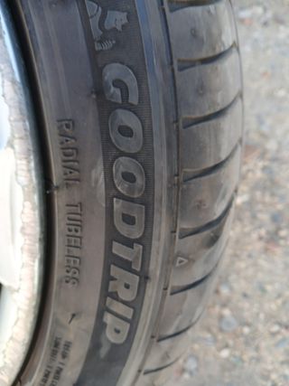 Ruedas BMW 225/45 R17 Goodtrip 