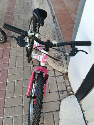 Bicicleta niña 20 DENBIKE