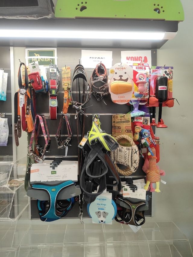 A. MASCOTAS  AL 20% DTO! Consulta sin compromiso!!