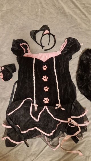 Disfraz de Gato Negro y Rosa