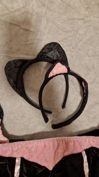 Disfraz de Gato Negro y Rosa