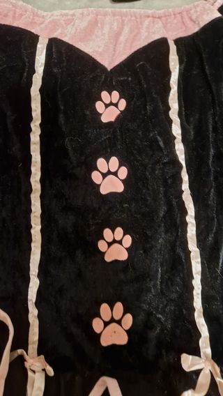 Disfraz de Gato Negro y Rosa