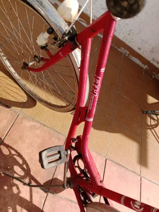 Bicicleta BH Gacela Roja